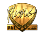 flusha (Gold) | Boston 2018 image